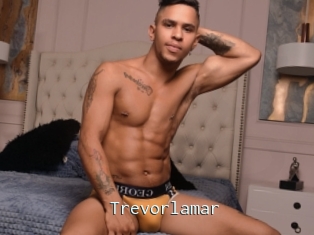 Trevorlamar