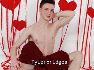 Tylerbridges