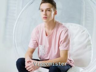 Viggomister