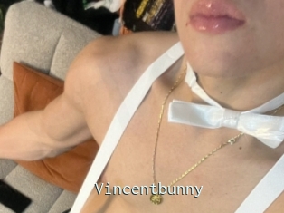 Vincentbunny