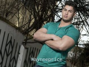 Waynneprice