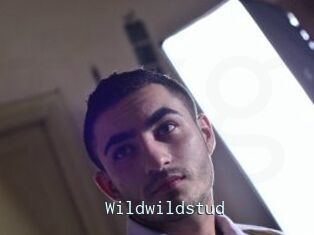 Wildwildstud