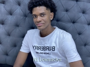 Wilowsacks