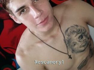 Xescanory1