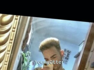 YoungOtter