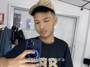 Yimbersacura
