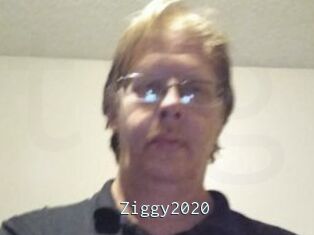 Ziggy2020