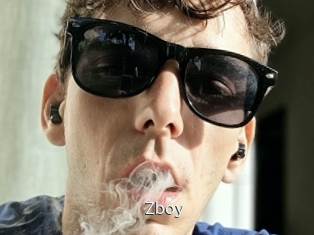 Zboy