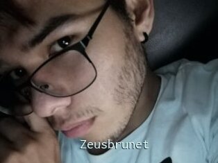 Zeusbrunet